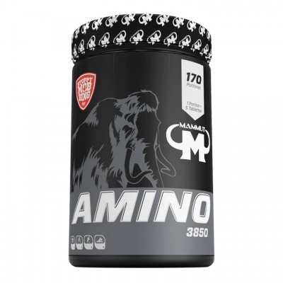  Mammut Amino 3850 850 